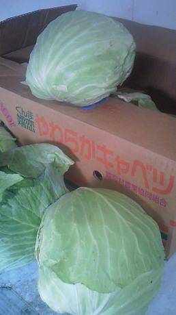 201109161438000.jpg