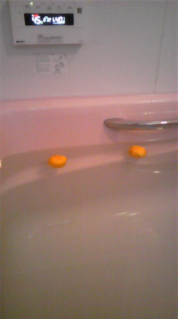 111205_202759.jpg